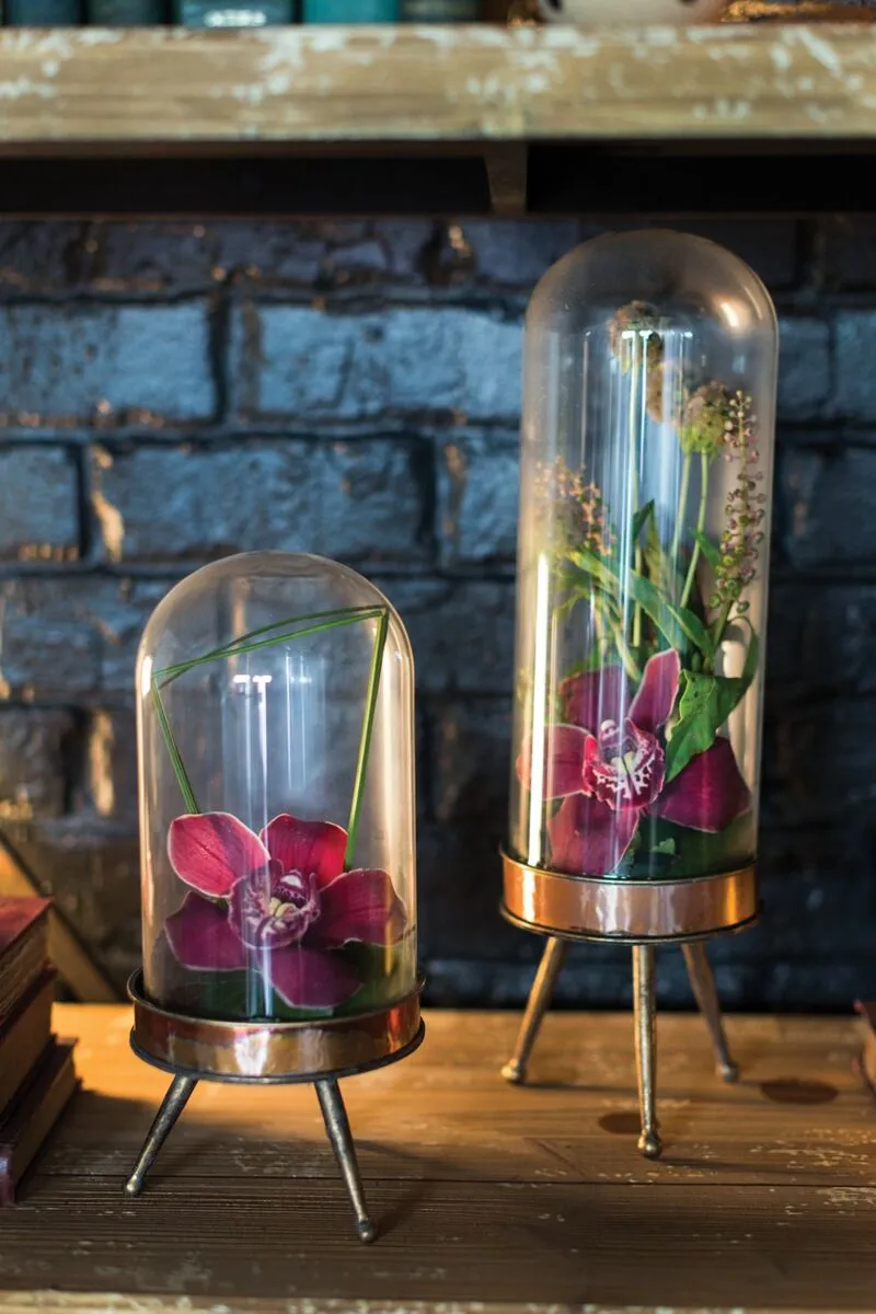 Cloche   Metal Stand