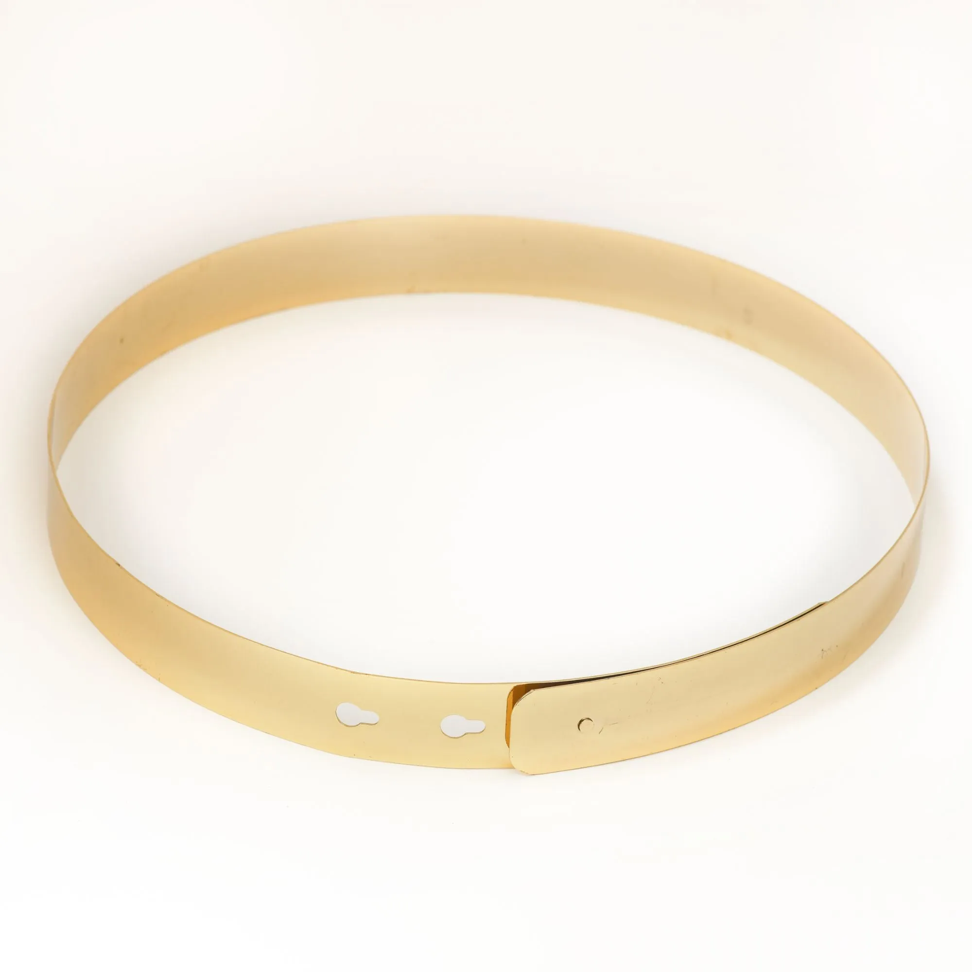 Golden Metallic Saree Belt