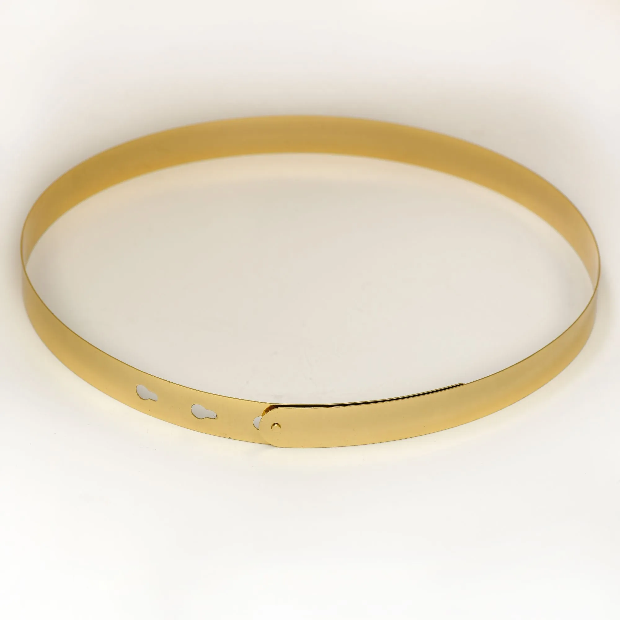 Golden Metallic Saree Belt