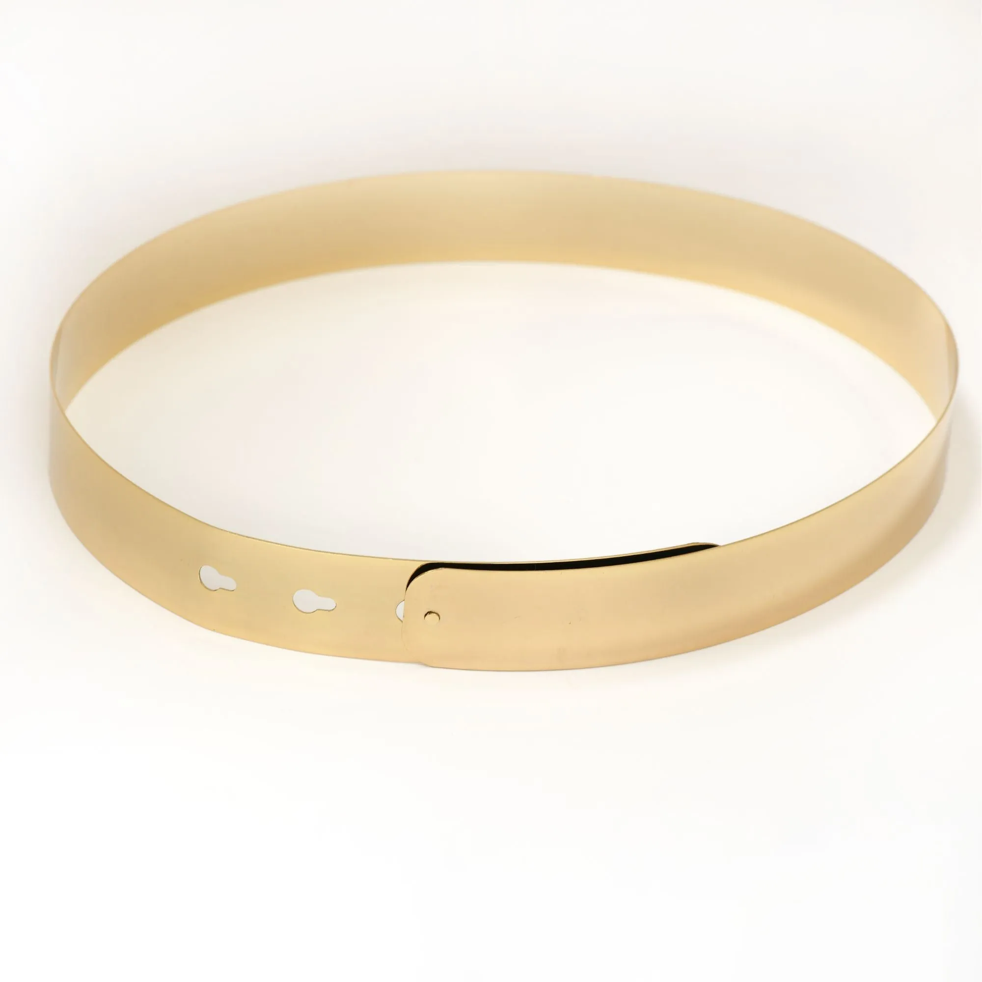 Golden Metallic Saree Belt
