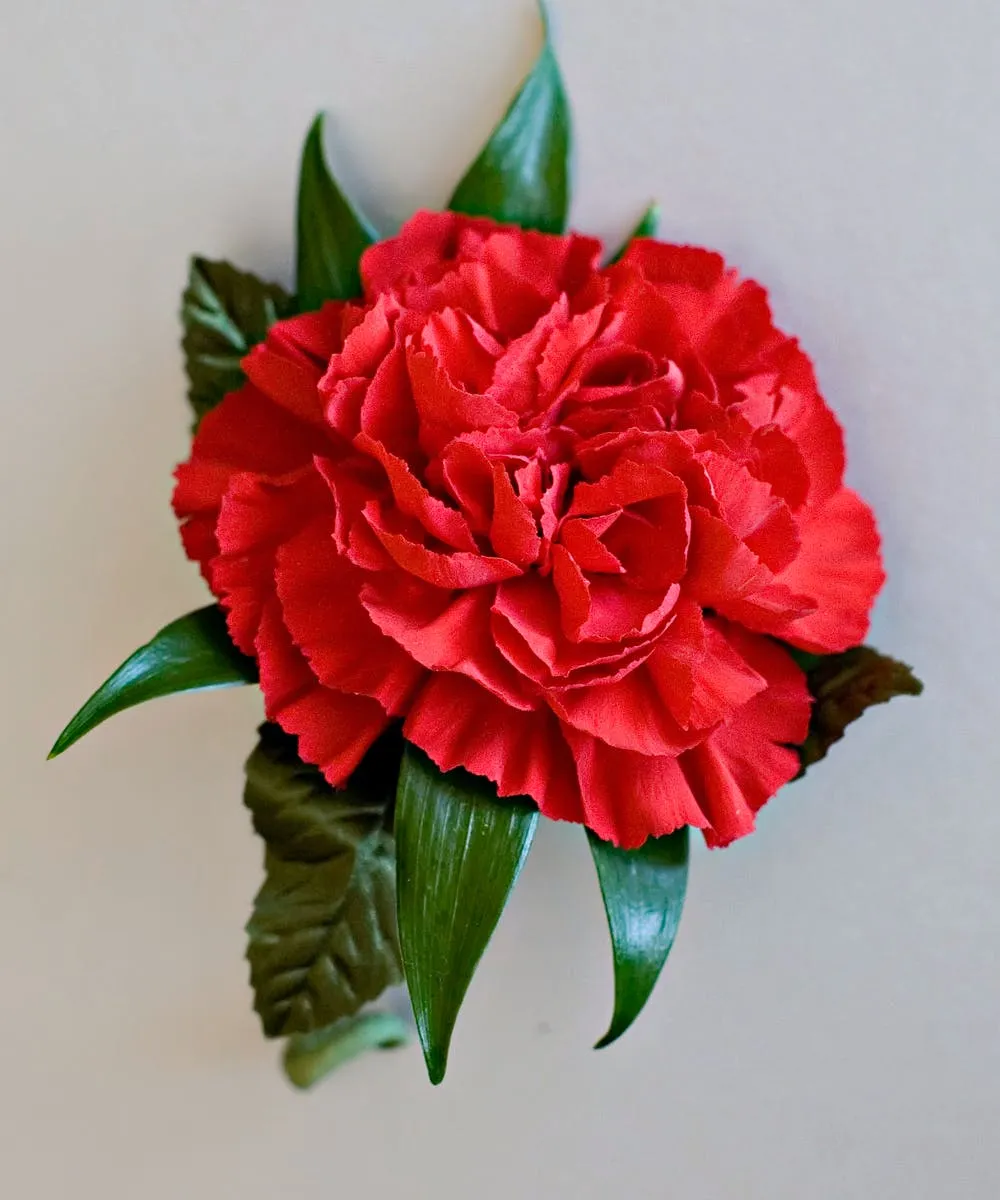 Red Carnation BC