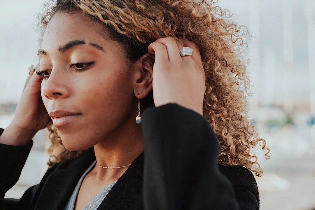 Zircon Short Drop Earrings · December