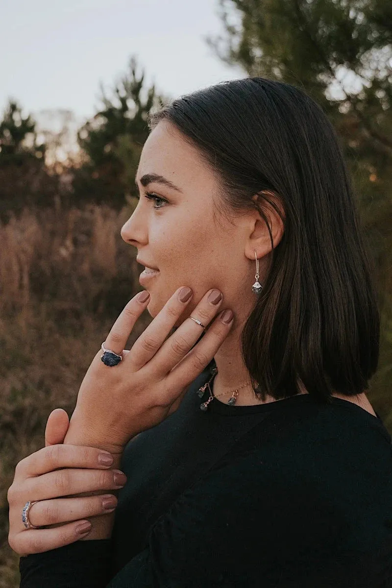 Zircon Short Drop Earrings · December